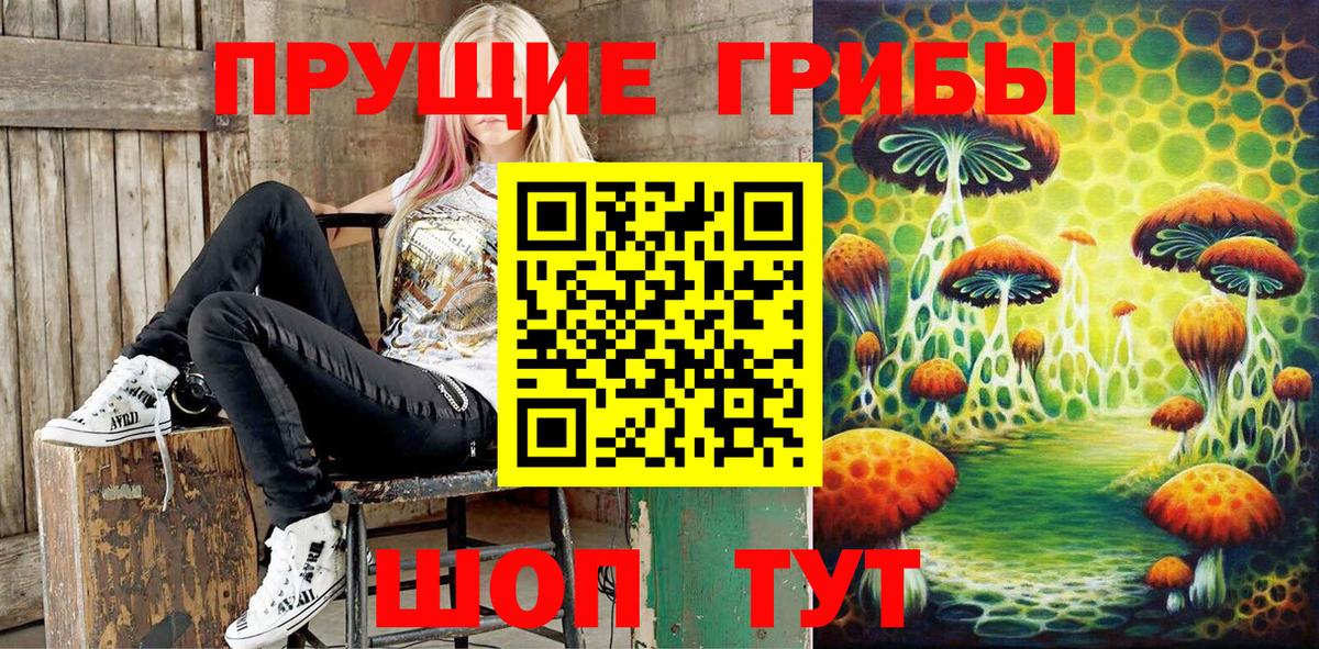 цены наркотик  Вход с VPN  Киров  Галлюциногенные грибы Magic Shrooms 